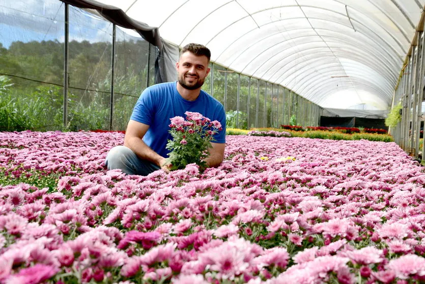   Luiz Guilherme Metta, produtor apucaranense 