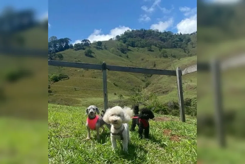  Margarida e as novas "irmãs" em sua primeira viagem em família, para Campos do Jordão (SP)  