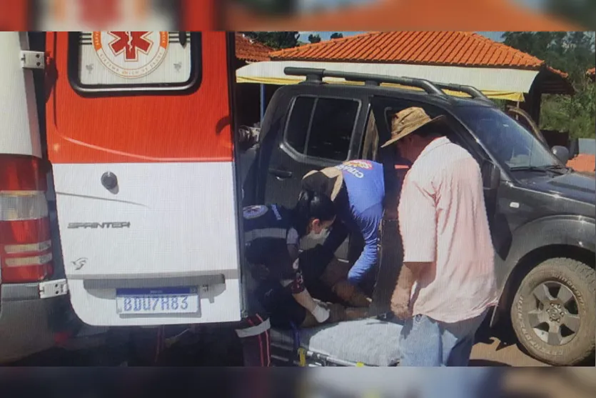 Morre no Providência homem atingido por árvore em Apucarana