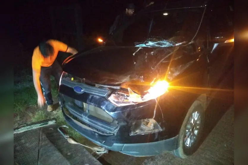 Motorista atropela e mata cavalo solto na PR-272 em Faxinal