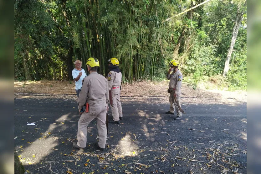 PM e Bombeiros fazem busca por desaparecido em Apucarana