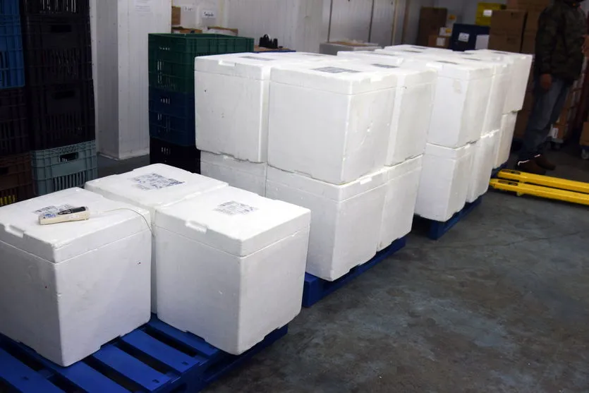 Paraná recebe mais de 176 mil vacinas contra Covid-19