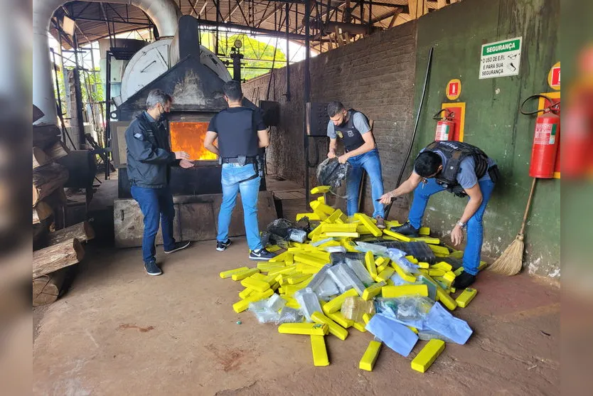 Polícia de Apucarana incinera mais de 530 Kg de drogas; veja