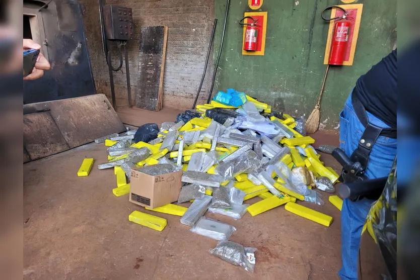 Polícia de Apucarana incinera mais de 530 Kg de drogas; veja