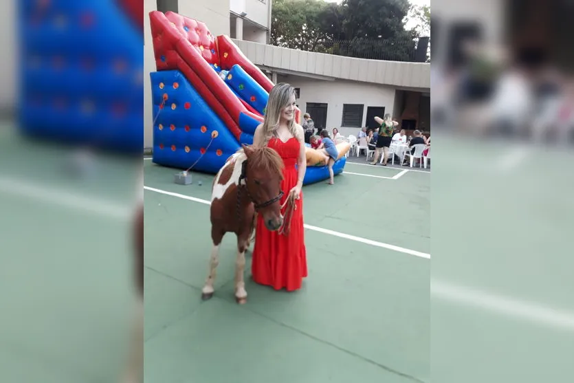 Pônei de Apucarana é encontrado amarrado em Arapongas