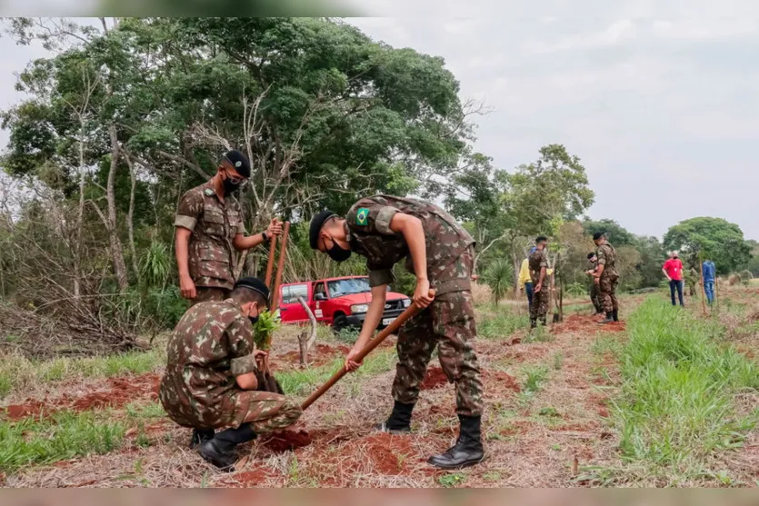 Prefeitura de Apucarana realiza o plantio de 1.300 árvores