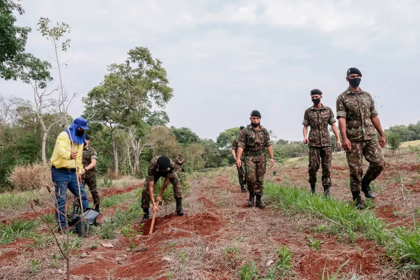 Prefeitura de Apucarana realiza o plantio de 1.300 árvores