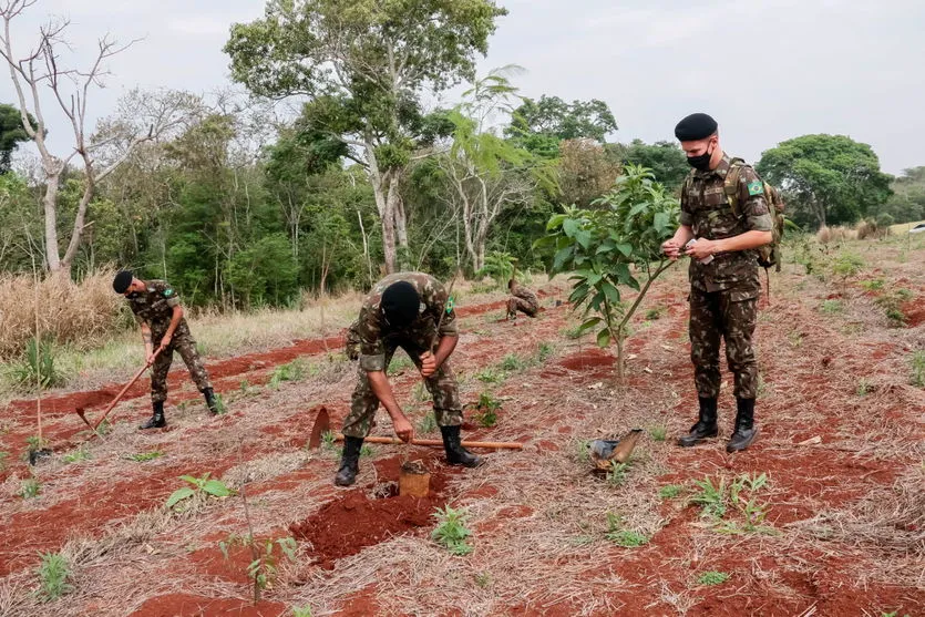 Prefeitura de Apucarana realiza o plantio de 1.300 árvores