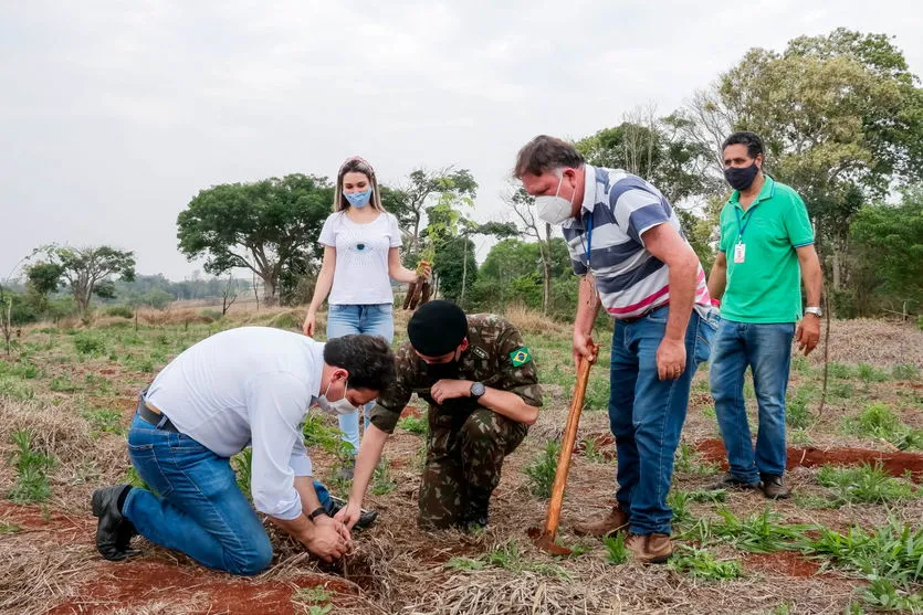Prefeitura de Apucarana realiza o plantio de 1.300 árvores