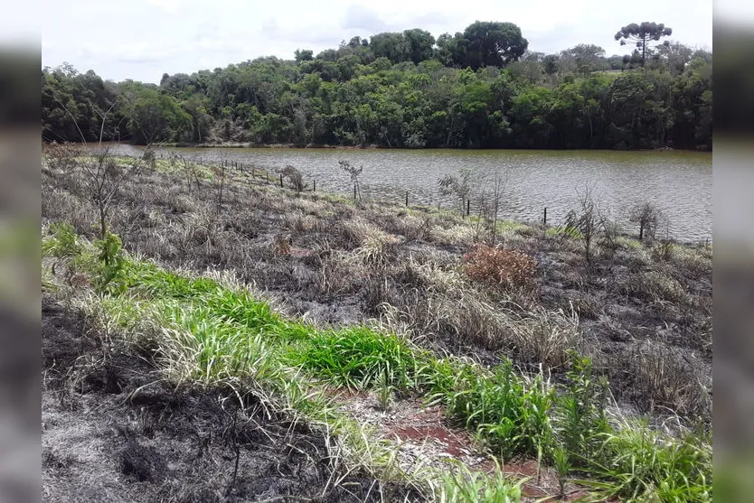 Queimada consome mais de 2.500 árvores do Parque da Raposa