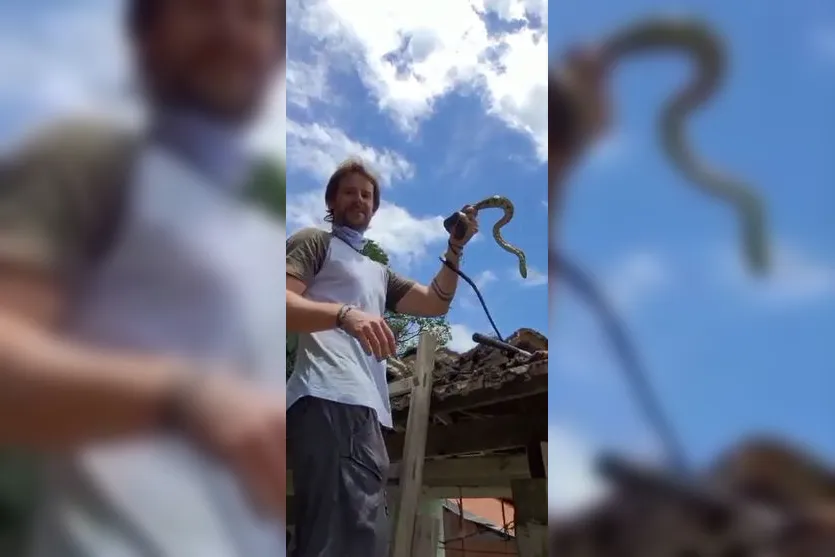 Susto: mulher encontra cobra de um metro ao ir tomar banho