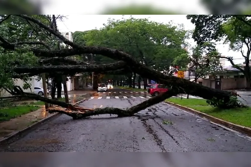 Temporais causam estragos em cidades do PR nesta madrugada