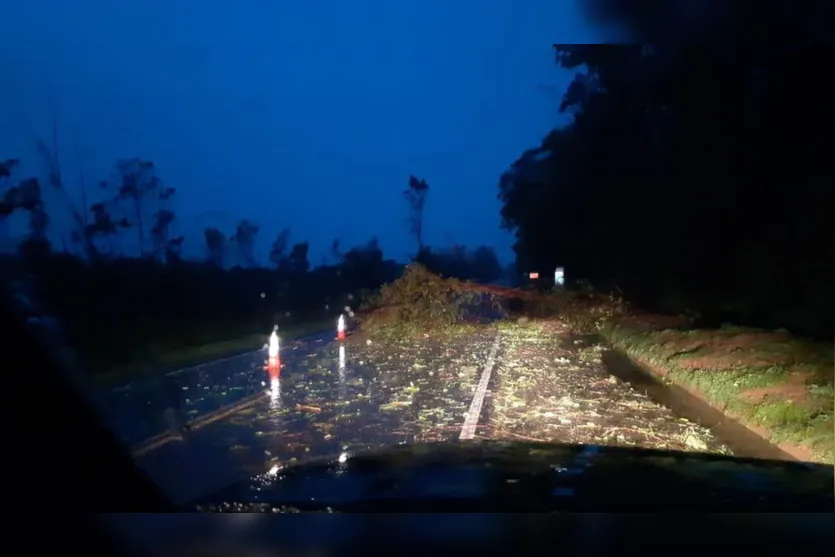 Temporais causam estragos em cidades do PR nesta madrugada