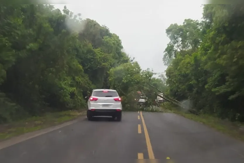 Temporais causam estragos em cidades do PR nesta madrugada