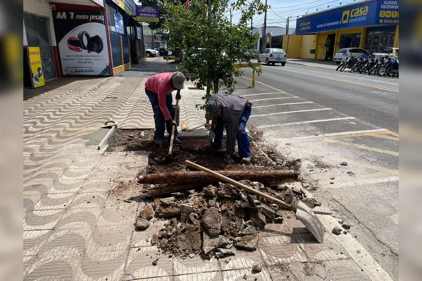 Zeladoria da área central de Apucarana é realizada