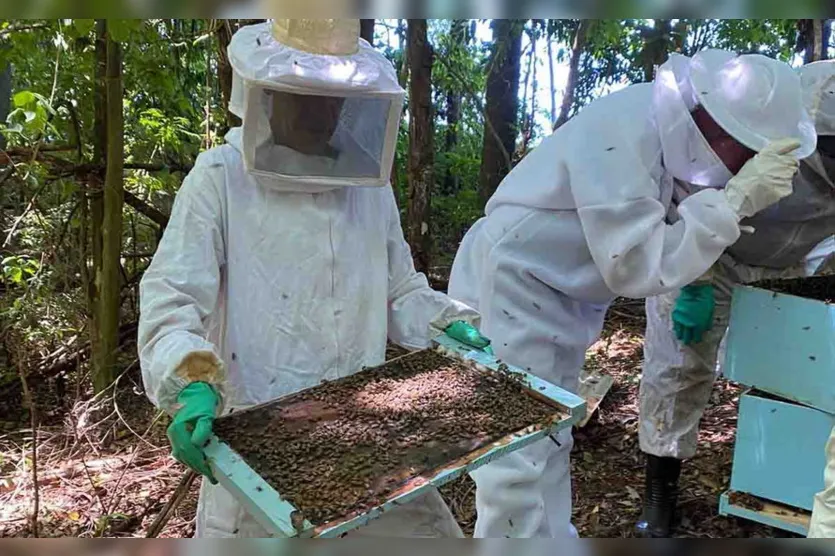  A aula teórica foi ministrada no Sindicato Rural e as orientações práticas dadas na propriedade do produtor Jorge Verenka  