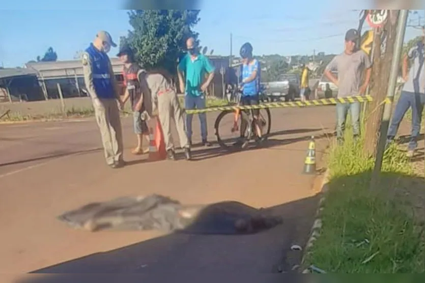 Adolescente de 14 anos morre atropelada no Paraná