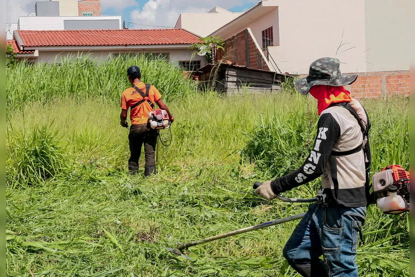 Apucarana concede prazo para roçagem e limpeza