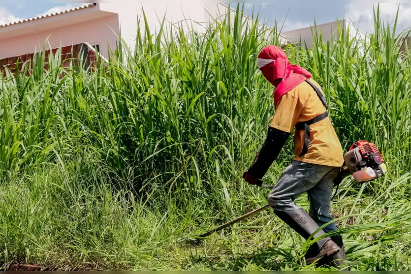 Apucarana concede prazo para roçagem e limpeza