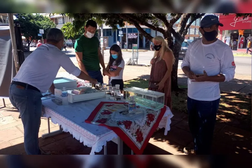 Arapongas realiza ações para combate à dengue