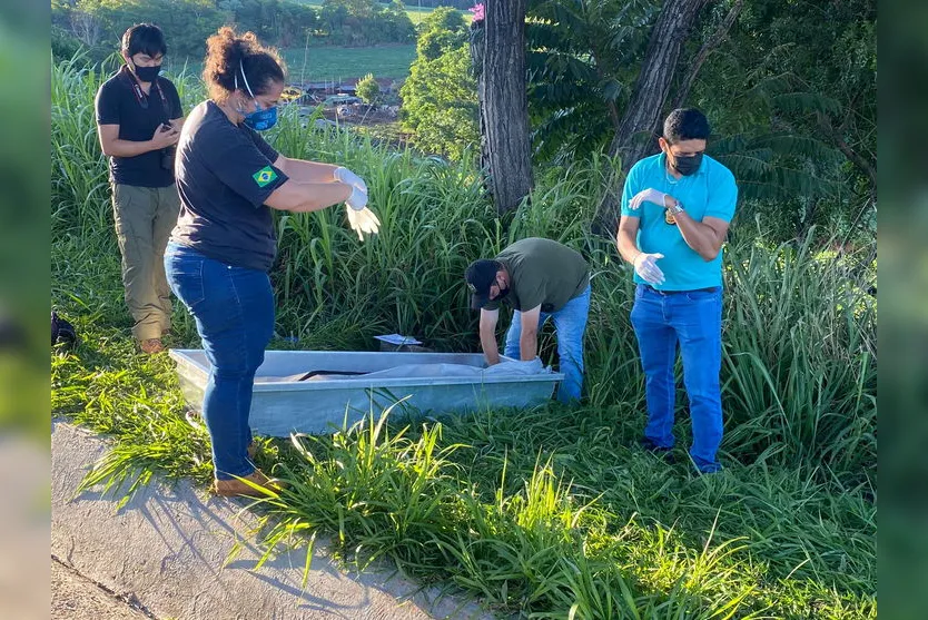 Cadáver é encontrado no Contorno Sul de Apucarana