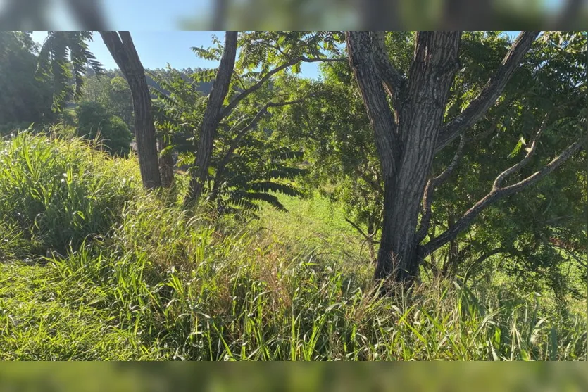 Cadáver é encontrado no Contorno Sul de Apucarana