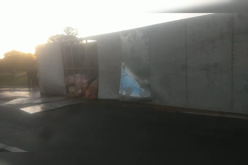 Caminhão carregado com porcos tomba na BR 376 em Apucarana