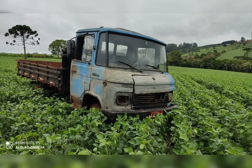 Caminhão roubado em Apucarana é encontrado em plantação