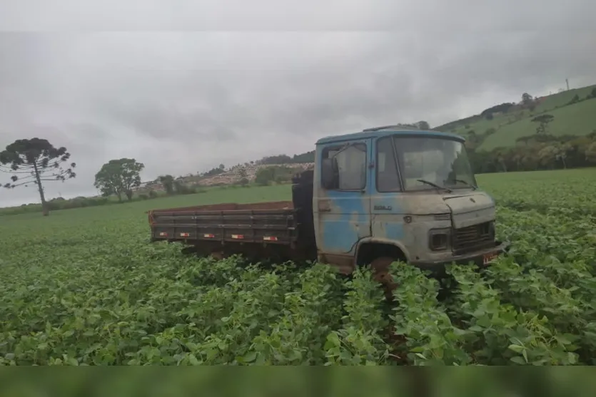Caminhão roubado em Apucarana é encontrado em plantação