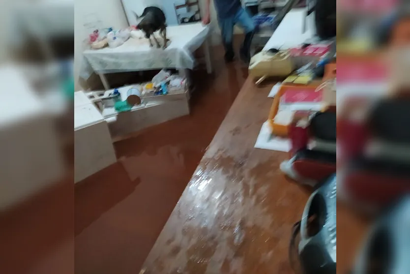 Chuva: família de Apucarana perde móveis e alimentos