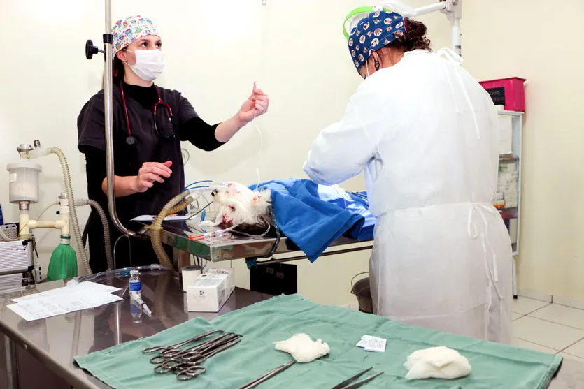 Comitiva de Santa Helena conhece iniciativas de Apucarana