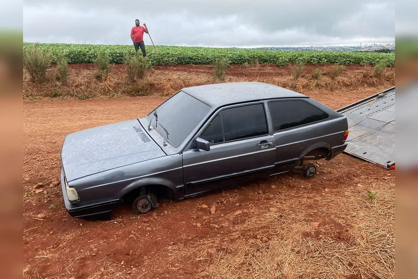 Filhotes são encontrados pela PM embaixo de carro furtado