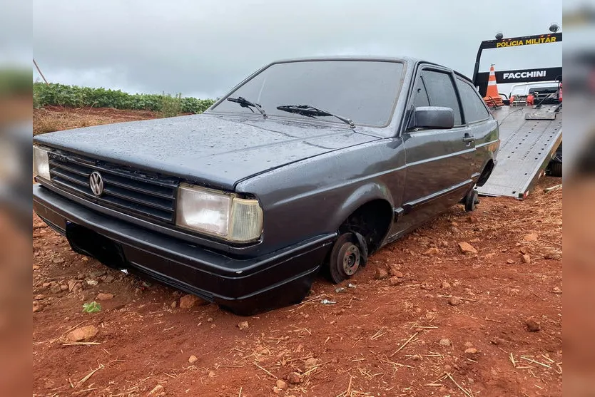 Filhotes são encontrados pela PM embaixo de carro furtado