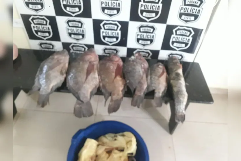 Homens são presos furtando peixes em fazenda na região