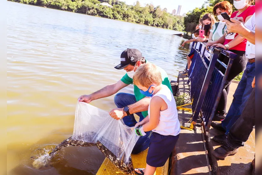 Lagos e represa de Apucarana recebem mais de 300 mil peixes
