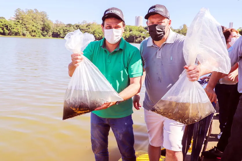 Lagos e represa de Apucarana recebem mais de 300 mil peixes