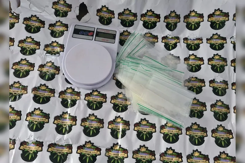 Polícia Civil de Apucarana realiza operação contra o tráfico
