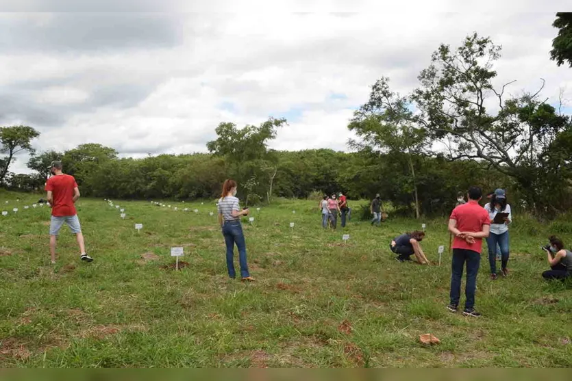 Projeto do IFPR de Ivaiporã realiza plantio de árvores