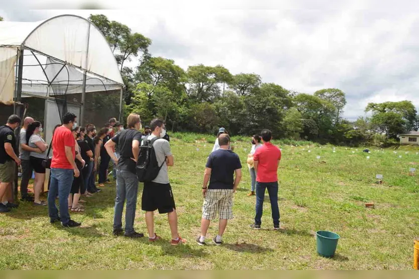 Projeto do IFPR de Ivaiporã realiza plantio de árvores