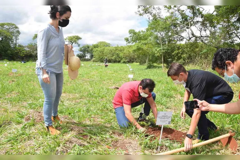 Projeto do IFPR de Ivaiporã realiza plantio de árvores