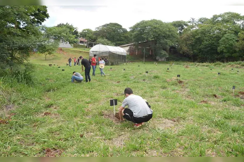 Projeto do IFPR de Ivaiporã realiza plantio de árvores