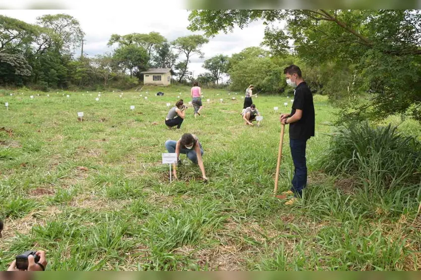 Projeto do IFPR de Ivaiporã realiza plantio de árvores