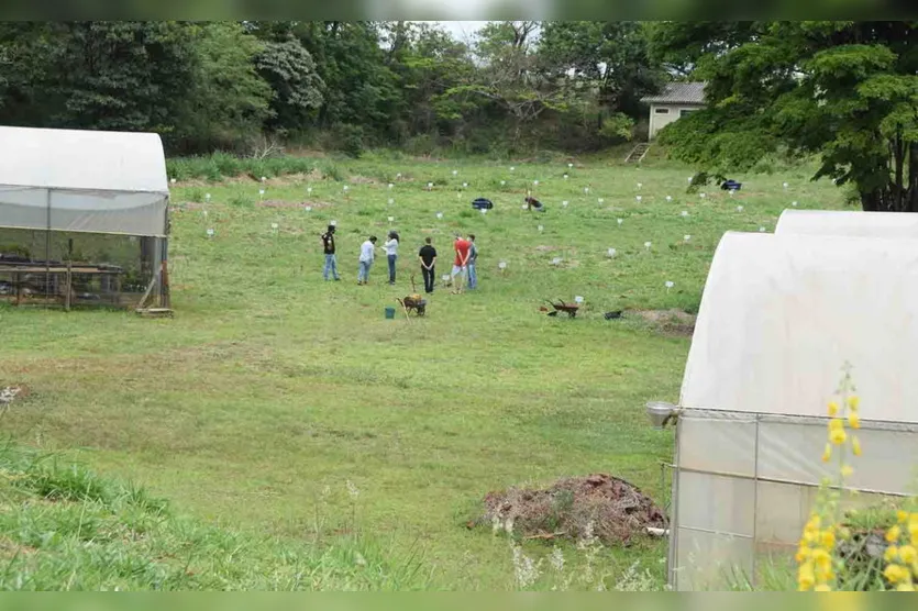 Projeto do IFPR de Ivaiporã realiza plantio de árvores