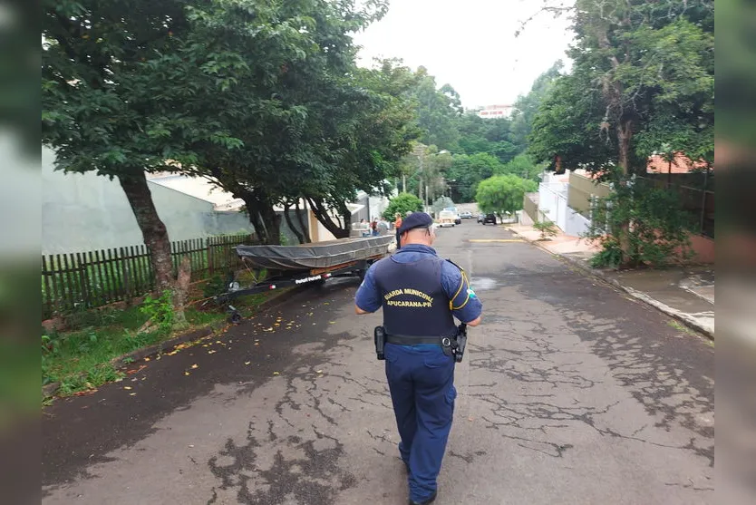 Cemsa investiga envenenamento de gatos em Apucarana