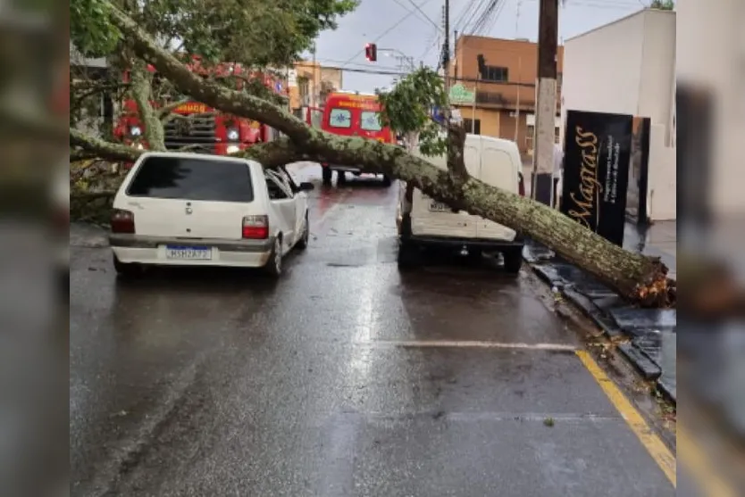 Árvore cai em cima de carro em Arapongas durante chuva