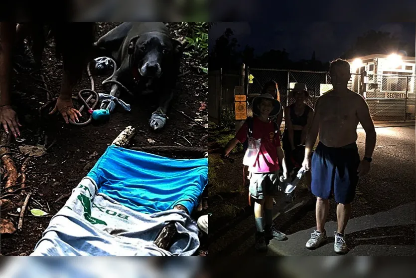  Escoteiro de 12 anos resgata casal e cachorro ferido em trilha. 