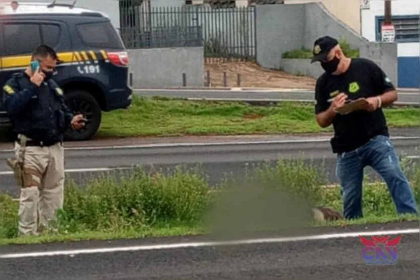 Motociclista morre em acidente na BR-376 nesta manhã