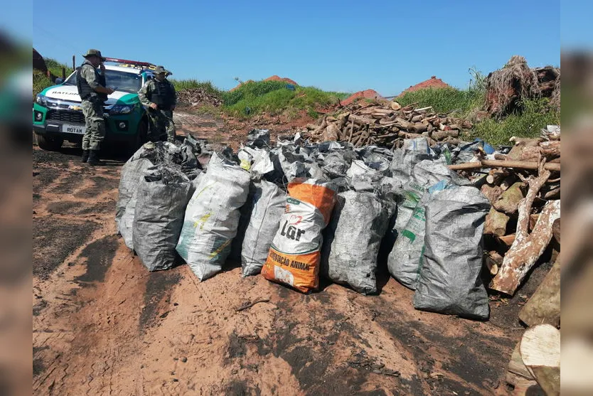 Polícia Militar apreende 242 toneladas de carvão no PR