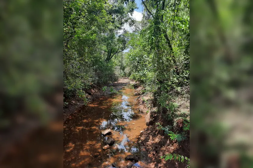  Ribeirão está com nivel bastante baixo há semana 