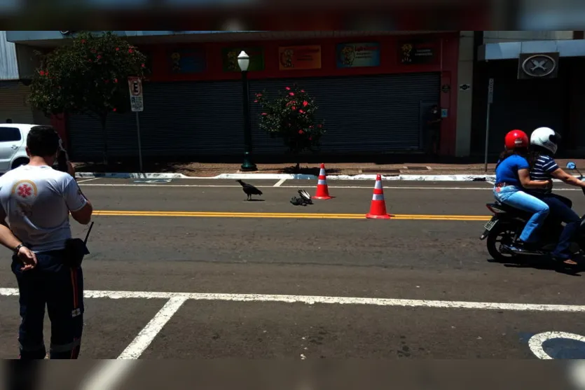 Samu de Apucarana sinaliza para evitar acidentes e viraliza